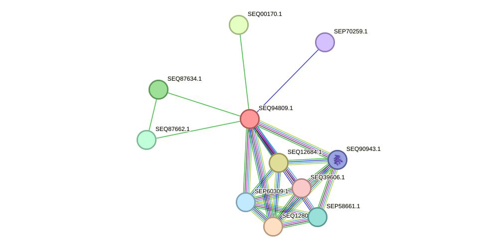 STRING protein interaction network