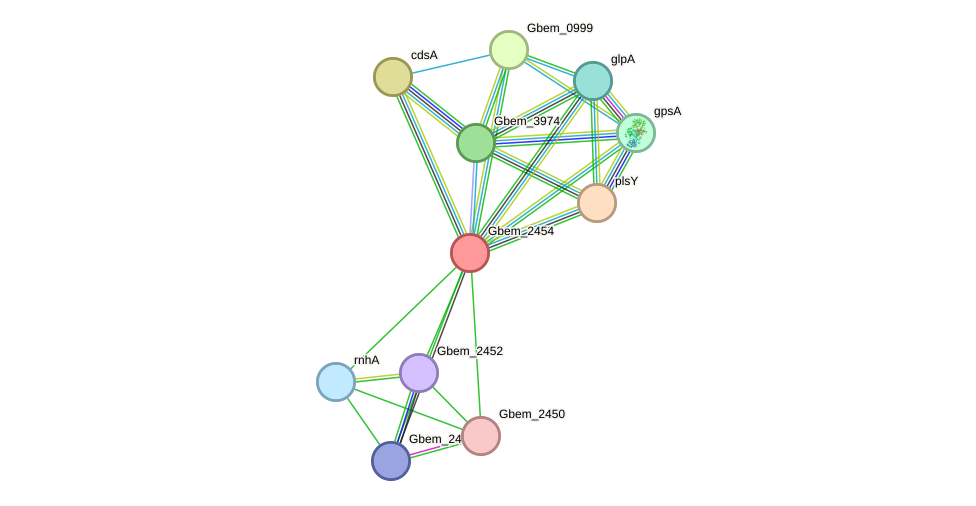 STRING protein interaction network