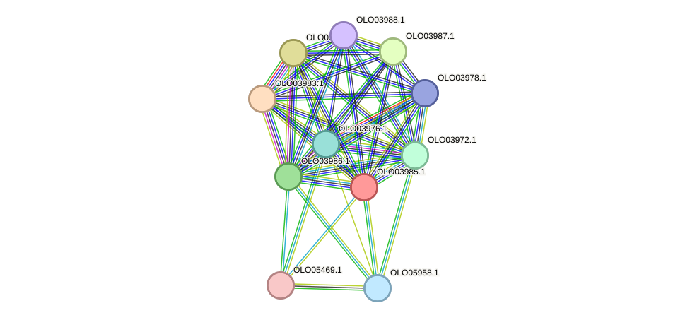 STRING protein interaction network