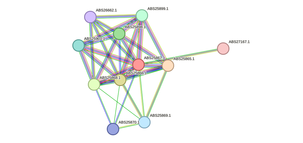 STRING protein interaction network