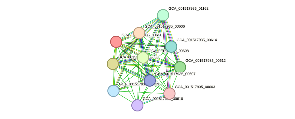 STRING protein interaction network