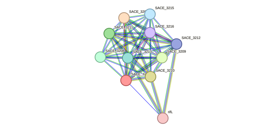 STRING protein interaction network
