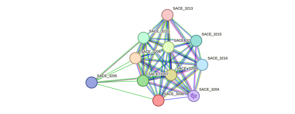 STRING protein interaction network