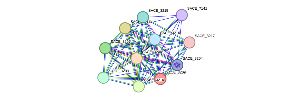 STRING protein interaction network