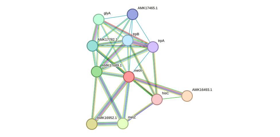 STRING protein interaction network