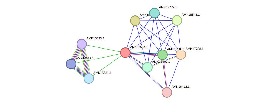 STRING protein interaction network