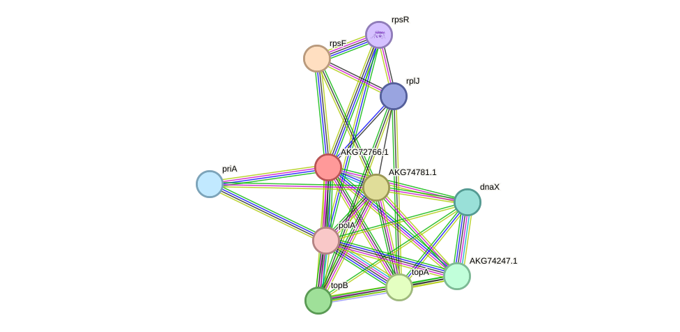 STRING protein interaction network