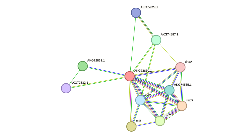 STRING protein interaction network