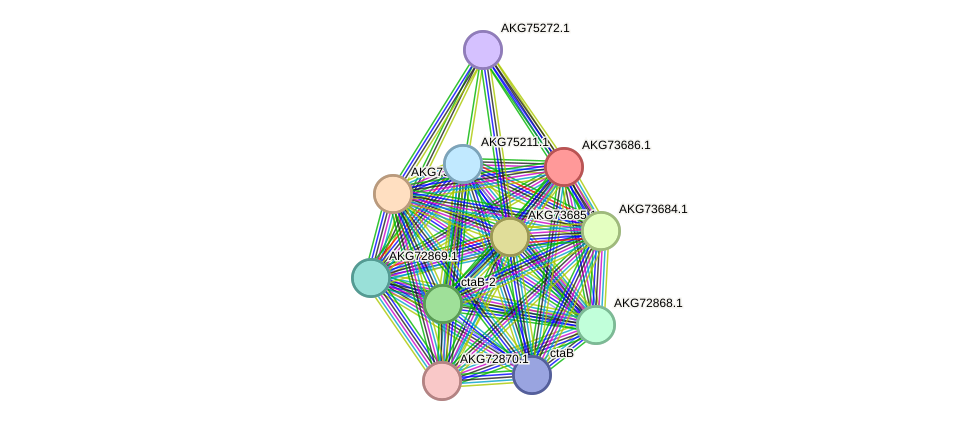 STRING protein interaction network