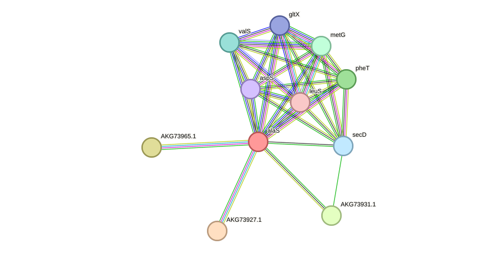 STRING protein interaction network