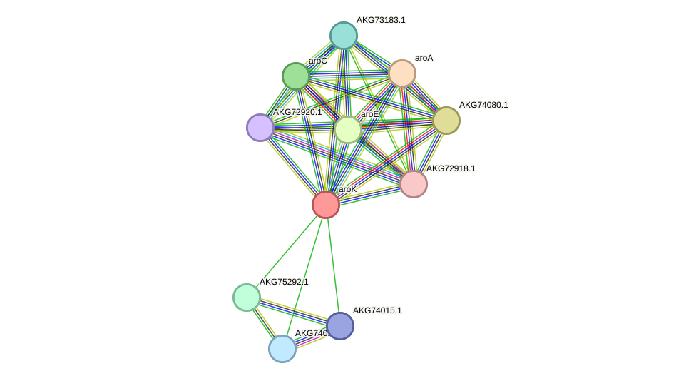 STRING protein interaction network