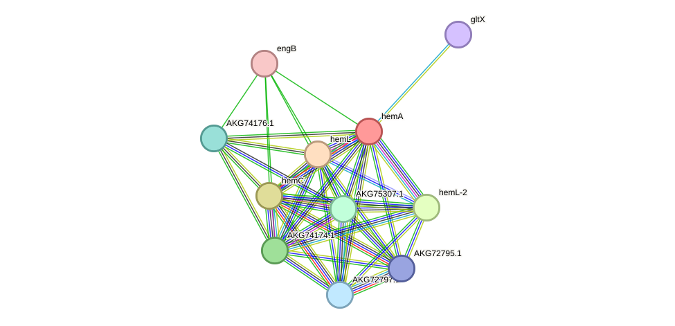 STRING protein interaction network