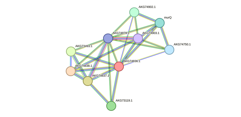 STRING protein interaction network