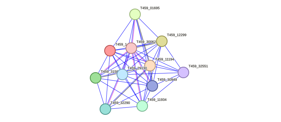 STRING protein interaction network