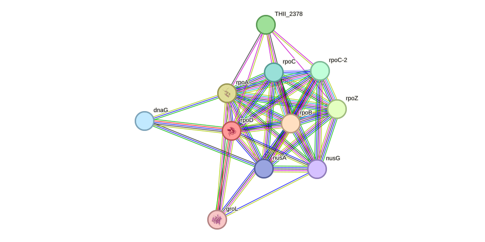 STRING protein interaction network