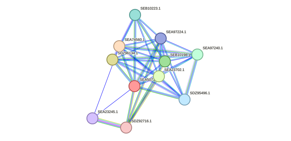 STRING protein interaction network