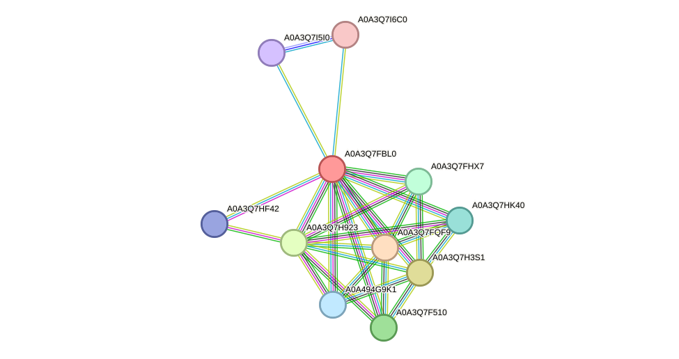 STRING protein interaction network