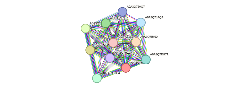 STRING protein interaction network