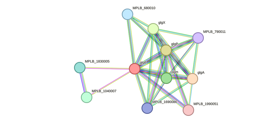 STRING protein interaction network