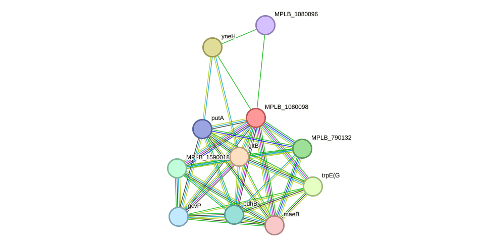 STRING protein interaction network