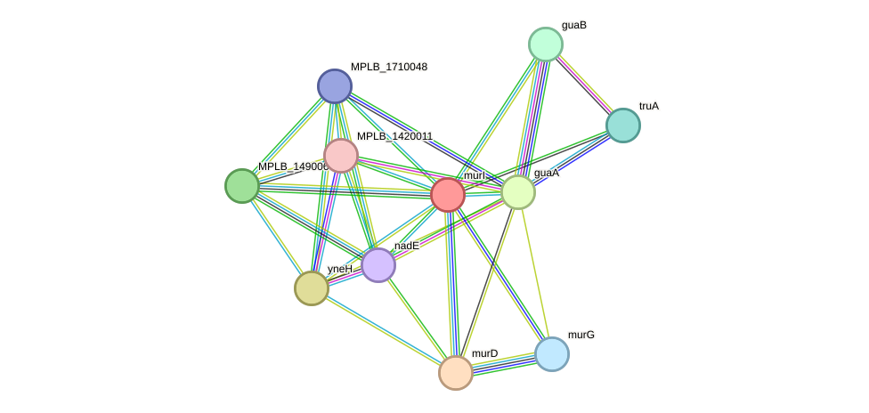 STRING protein interaction network