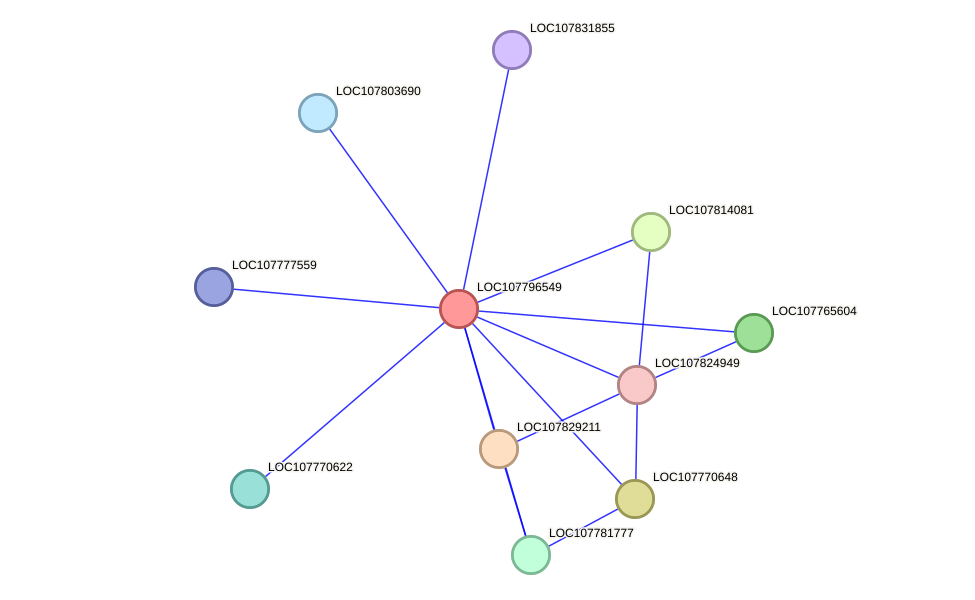 STRING protein interaction network