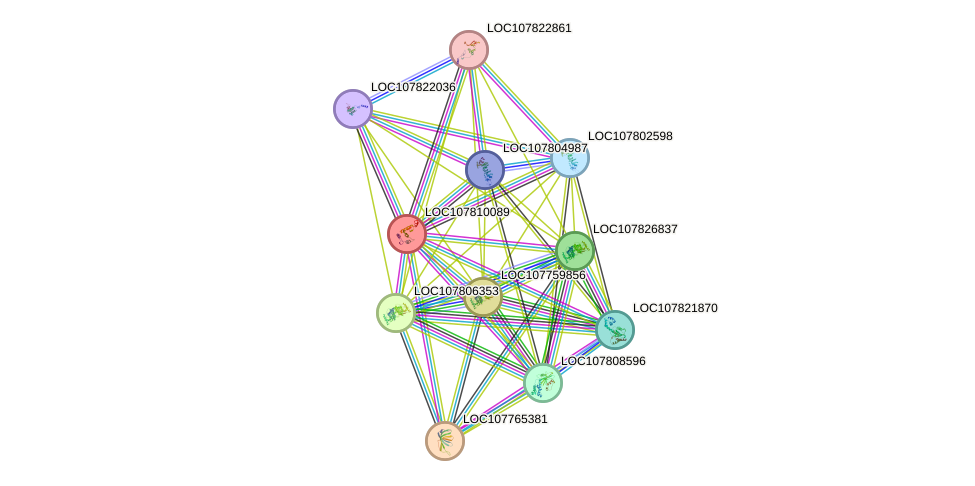 STRING protein interaction network