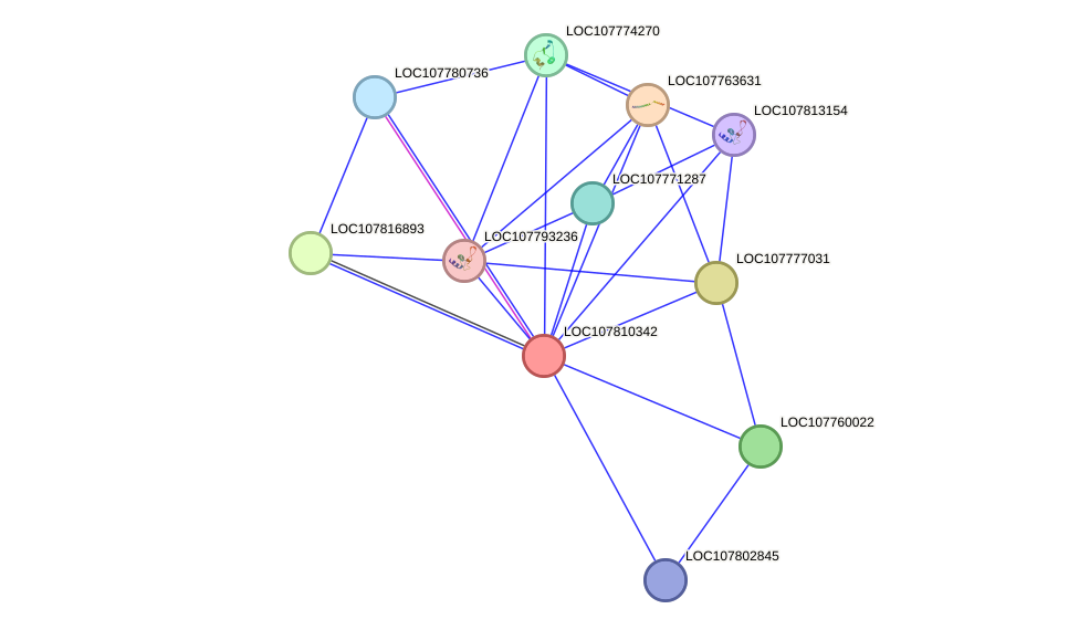 STRING protein interaction network