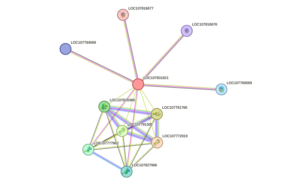 STRING protein interaction network