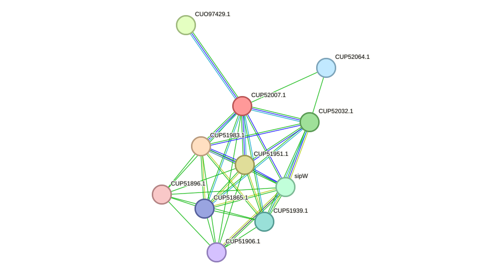 STRING protein interaction network