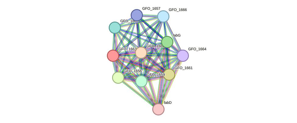 STRING protein interaction network