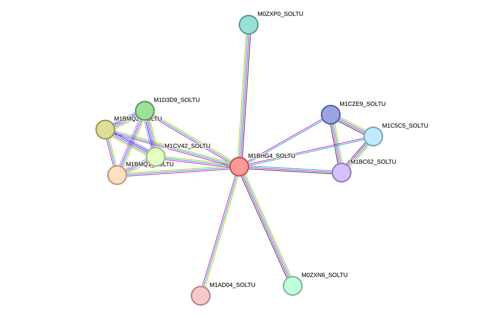 STRING protein interaction network