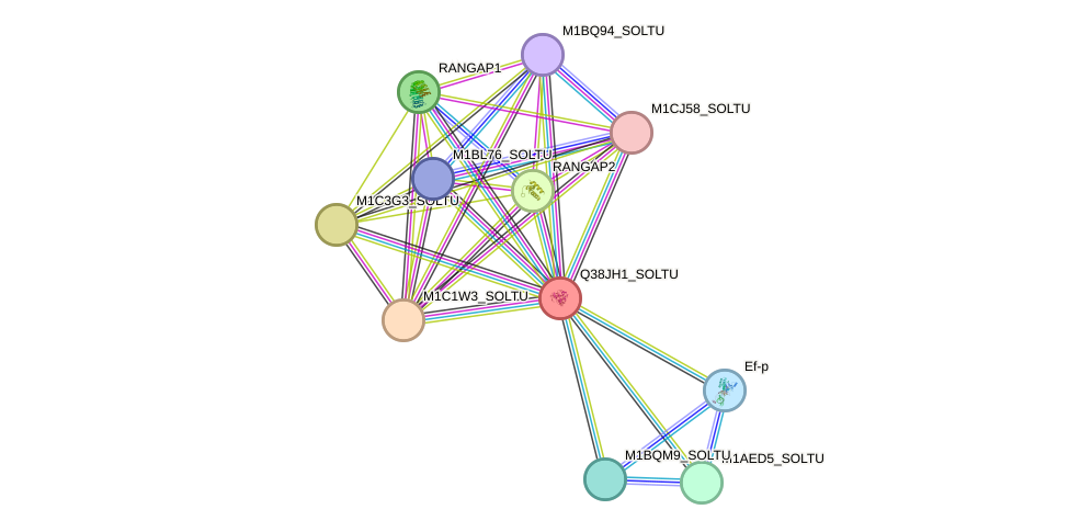 STRING protein interaction network