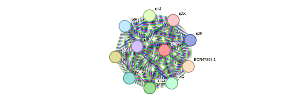 STRING protein interaction network