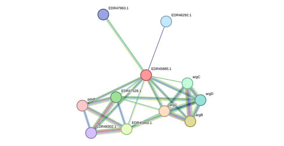 STRING protein interaction network
