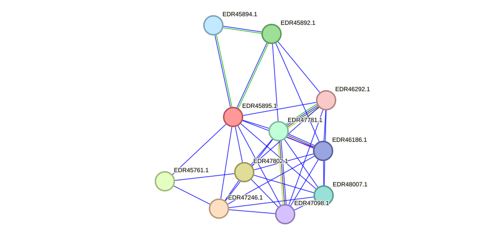 STRING protein interaction network