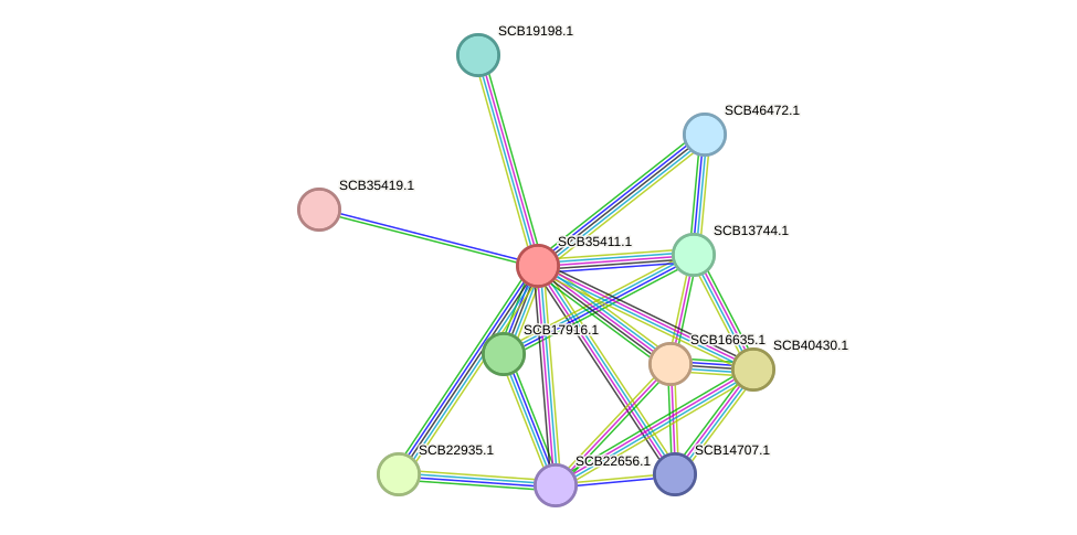 STRING protein interaction network