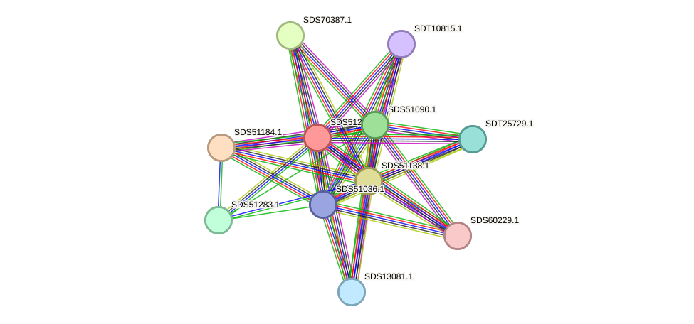 STRING protein interaction network