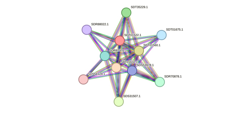 STRING protein interaction network