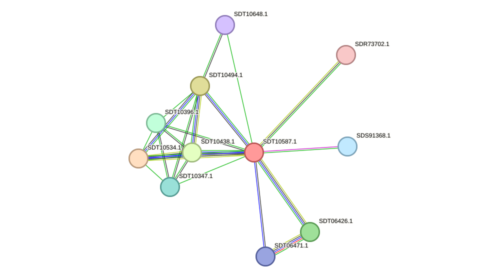 STRING protein interaction network