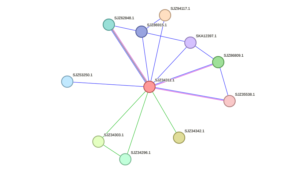 STRING protein interaction network