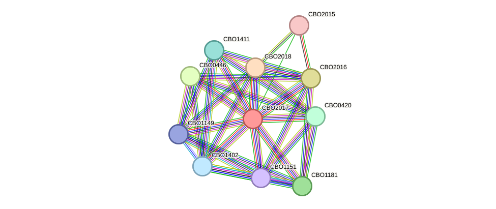 STRING protein interaction network