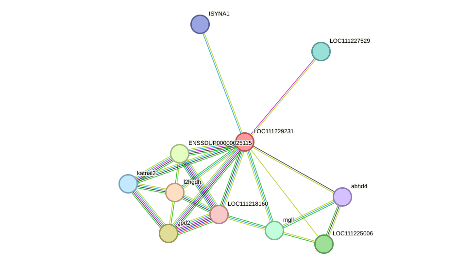 STRING protein interaction network