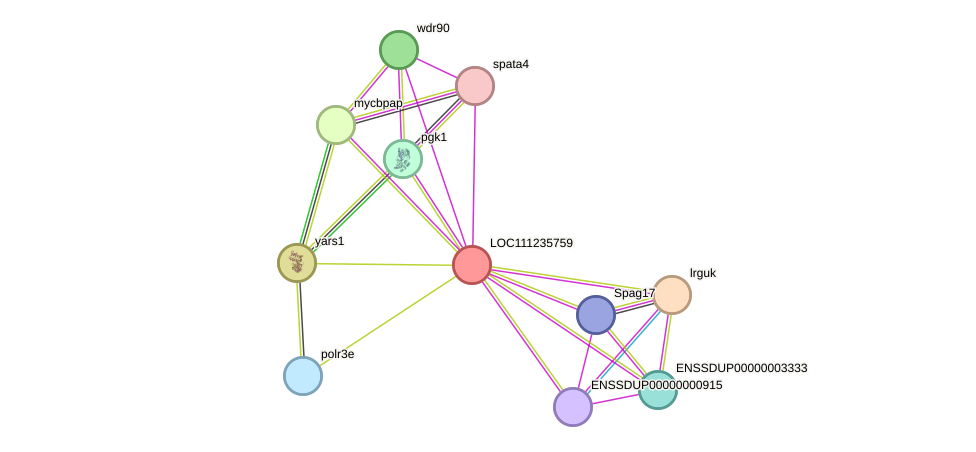 STRING protein interaction network