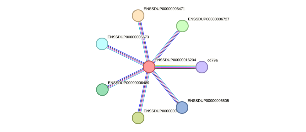 STRING protein interaction network