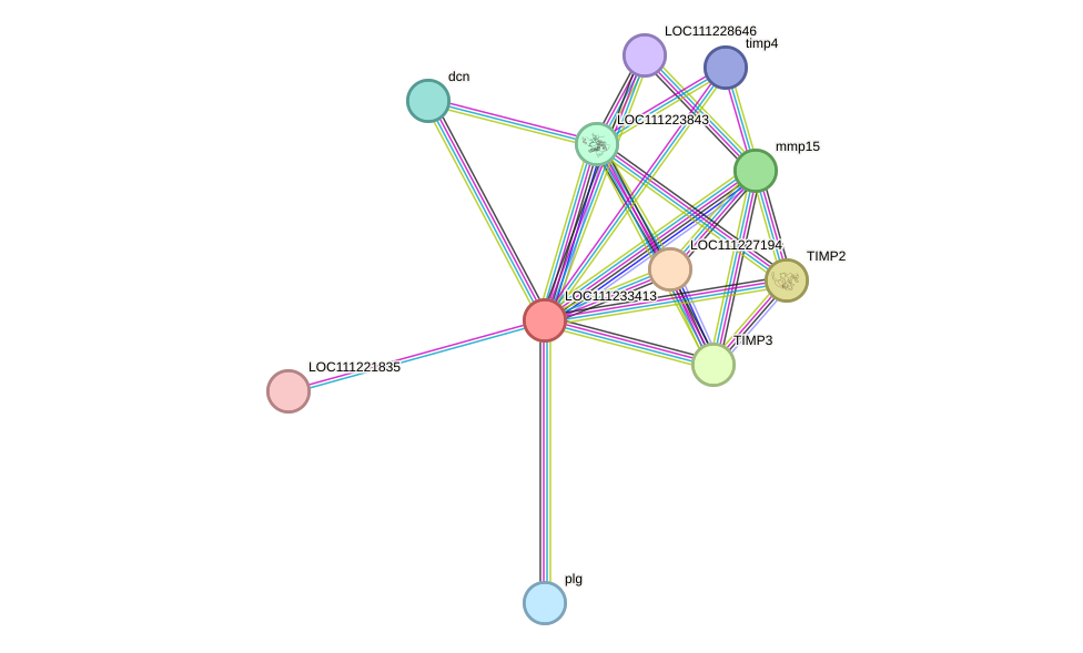 STRING protein interaction network