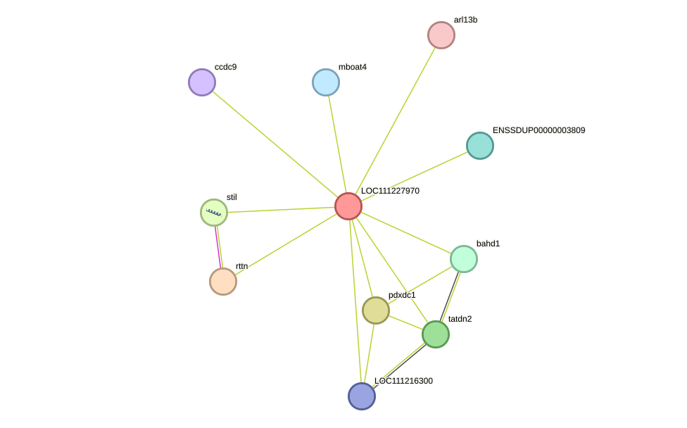 STRING protein interaction network