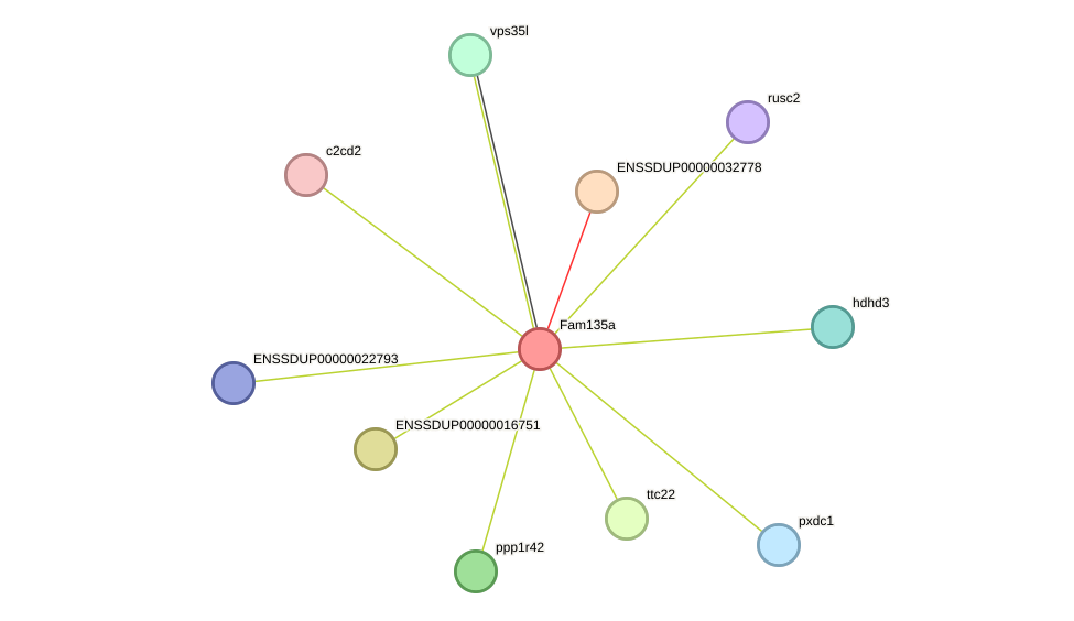 STRING protein interaction network