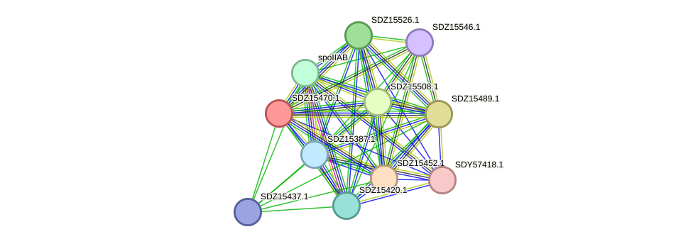 STRING protein interaction network