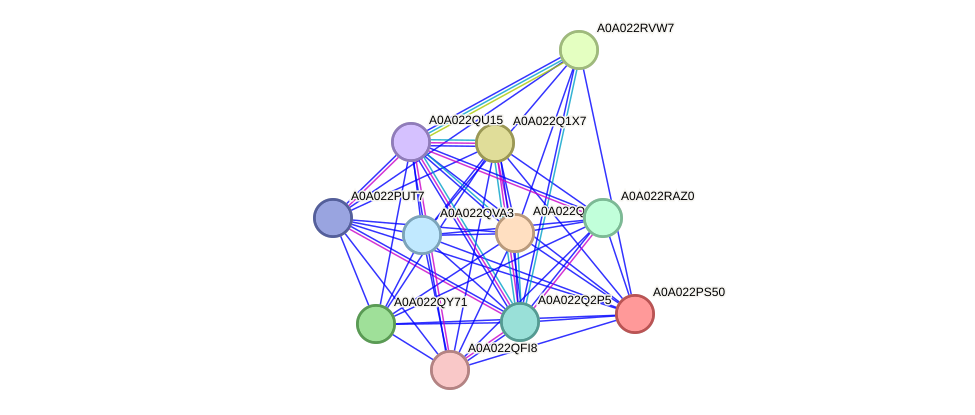 STRING protein interaction network
